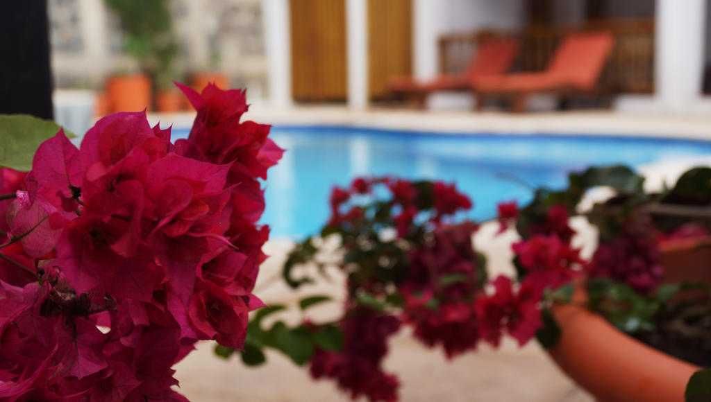 Atitlan Villas Agua Escondida Exteriér fotografie